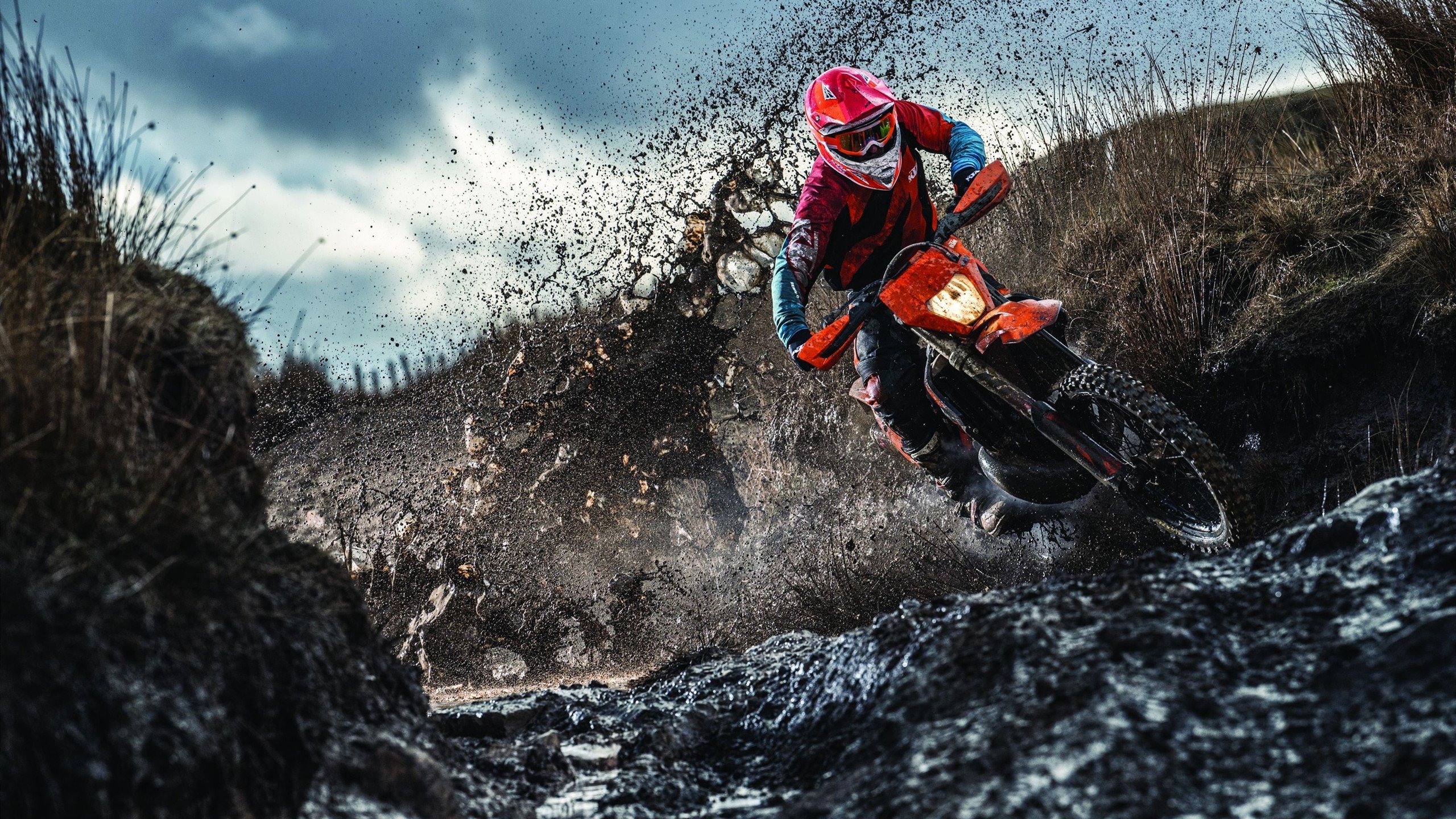 “定向越野：东部新区赛场考验运动员全方位能力”