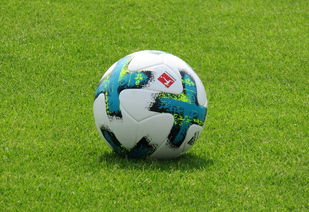 乐鱼体育网站入口-德甲防守战术转变对定位球防守效果的影响分析，德国足球防守大师