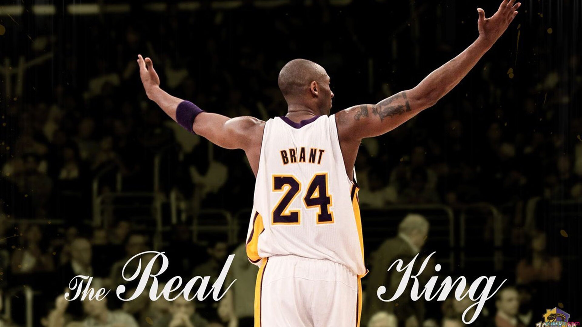 乐鱼体育 官方平台-CBA球队加强心理辅导工作