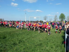 乐鱼彩票-体育新闻中心参与制定青少年体育内容发布规范，青少年体育刊物